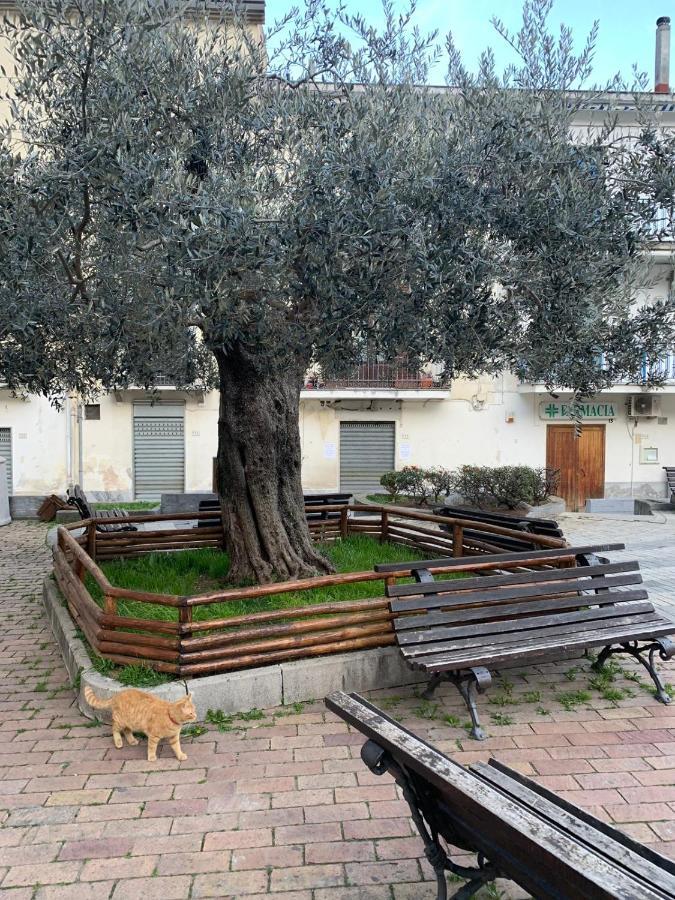 B&B Il Vicoletto Olevano sul Tusciano Exteriér fotografie
